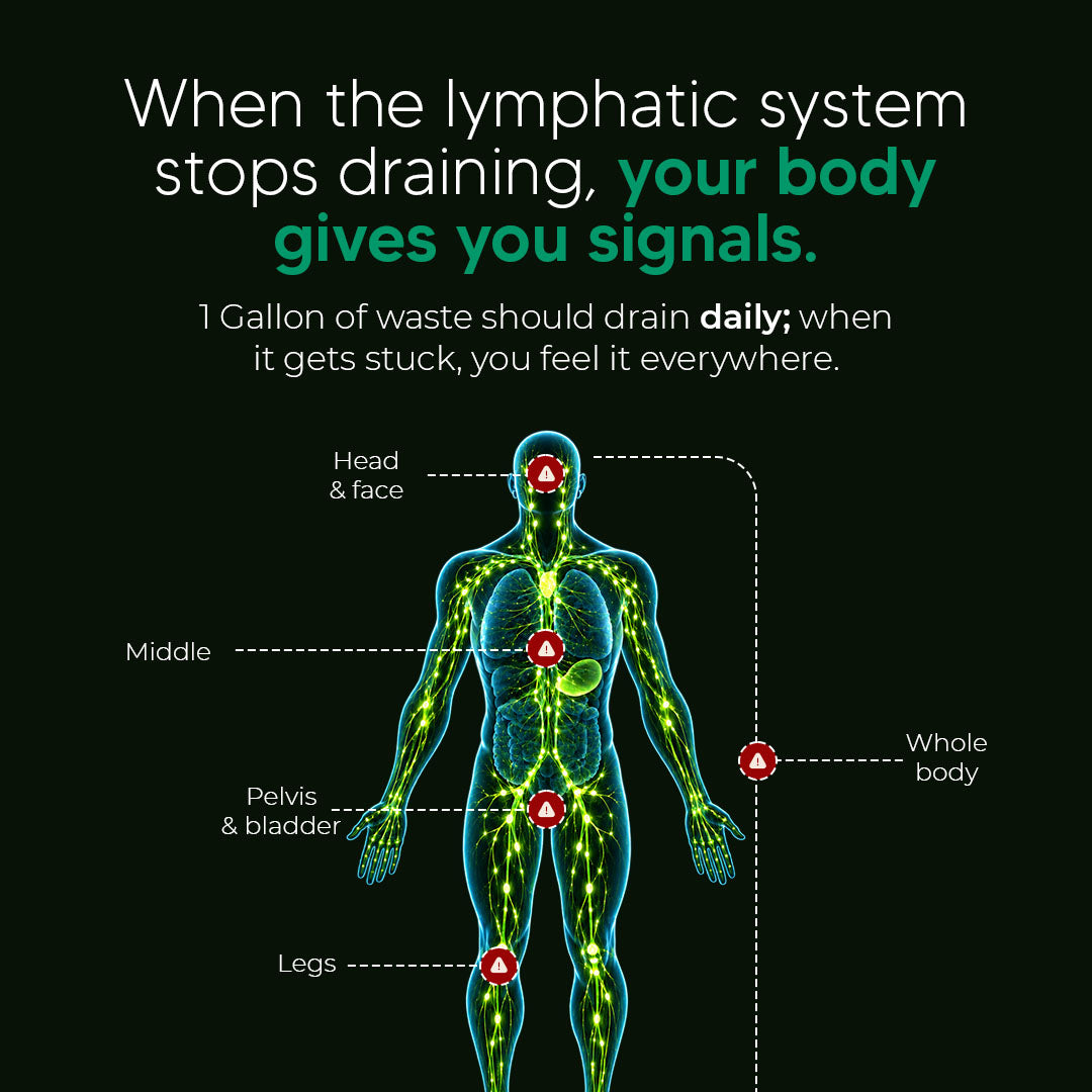 New Maximum Potency Formula - Lymphatic Drainage Capsules