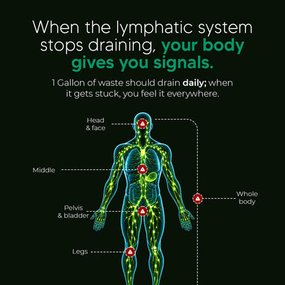 New Maximum Potency Formula - Lymphatic Drainage Capsules