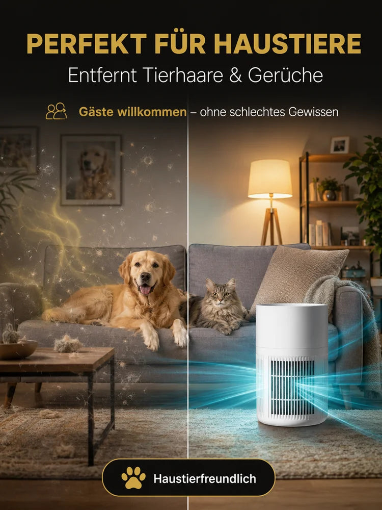 Household Ionizer Air Purifier; Eliminates formaldehyde and odors.